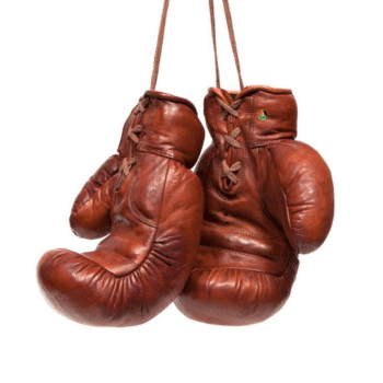 Vintage Brown Boxing Gloves – Classic Design with Modern Protection
